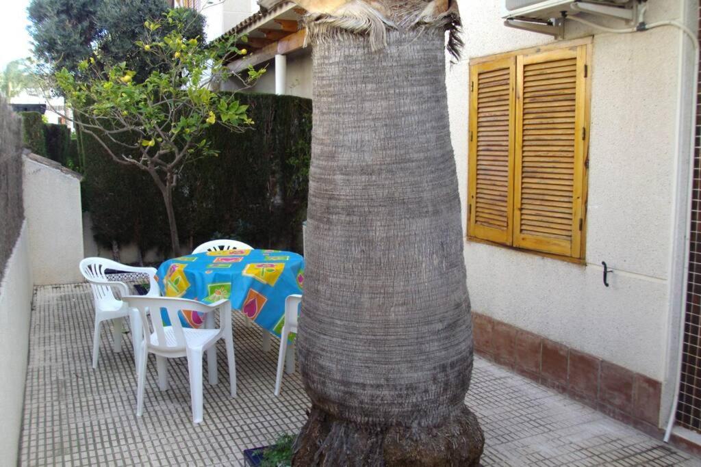 La Casa De La Palmera Apartment Torrevieja Luaran gambar