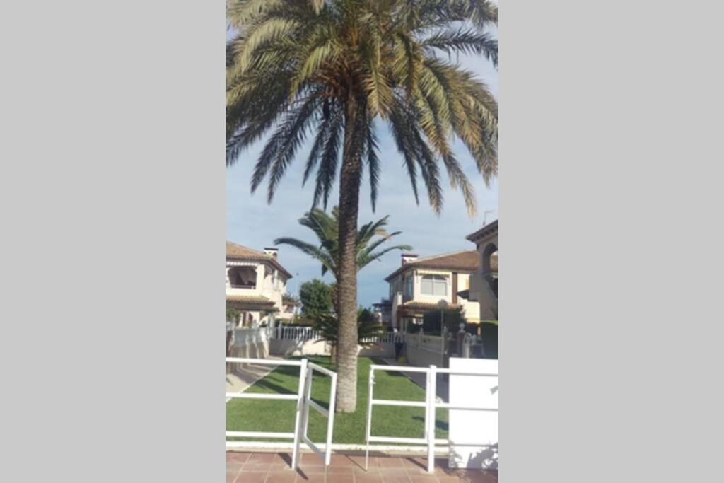 La Casa De La Palmera Apartment Torrevieja Luaran gambar