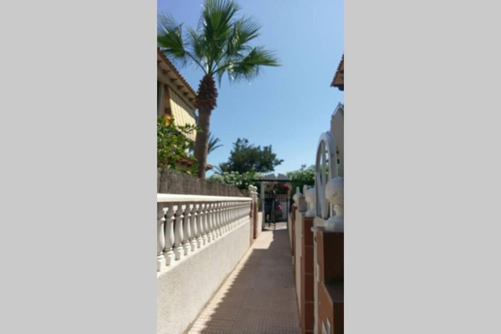 La Casa De La Palmera Apartment Torrevieja Luaran gambar